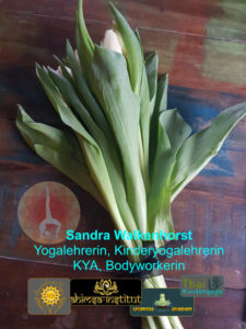 Yoga, der Weg nach Hause